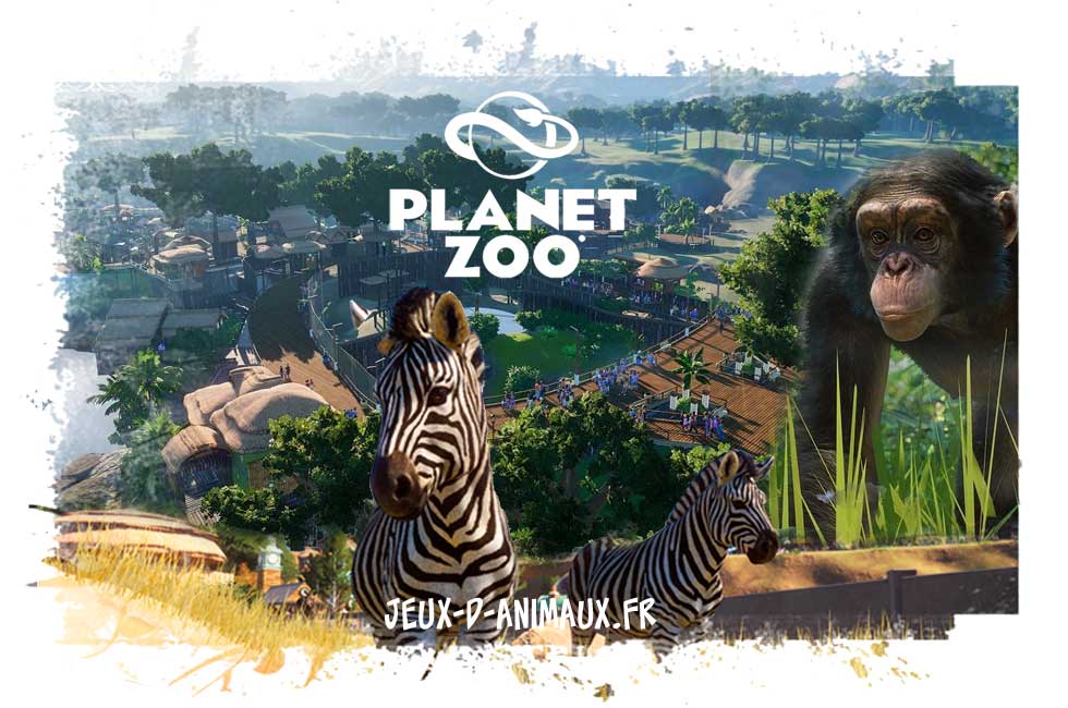 Planet zoo : gestion et réalisme au sommet