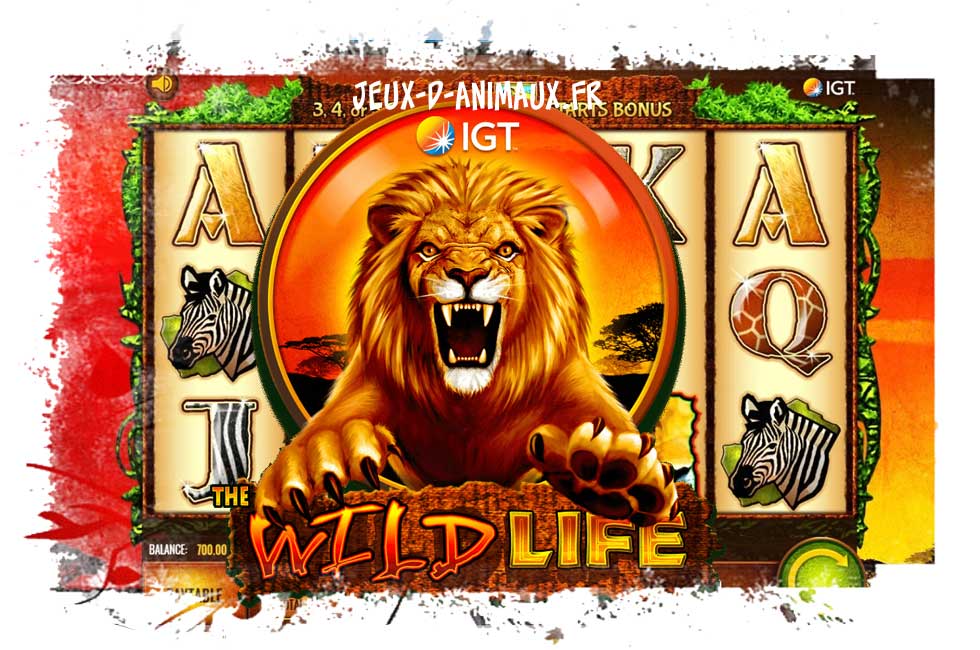 Wild life : ambiance safari pour un jeu de casino